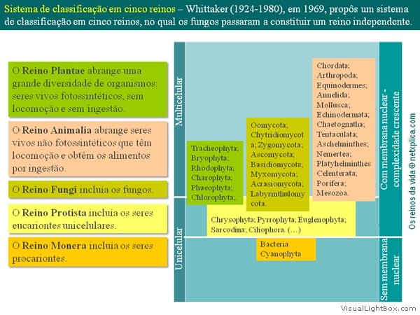 Diapositivo18