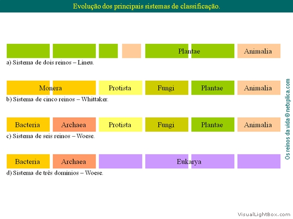 Diapositivo19