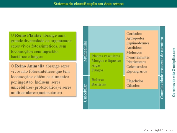 Diapositivo4