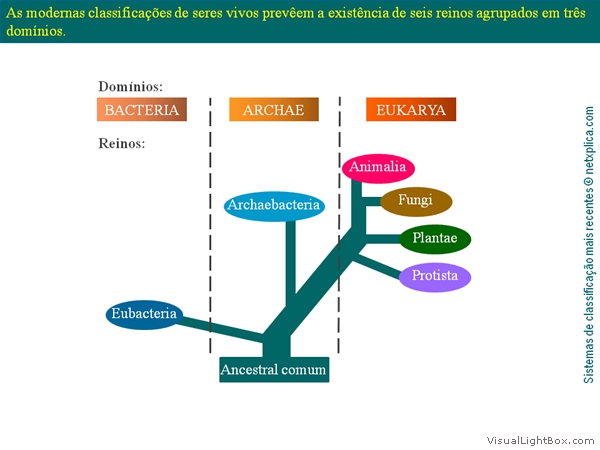 Diapositivo18