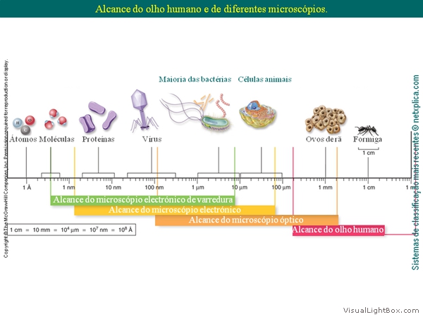 Diapositivo25