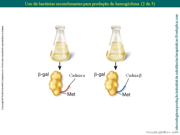 Diapositivo34