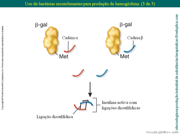 Diapositivo35