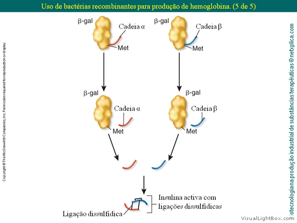 Diapositivo37