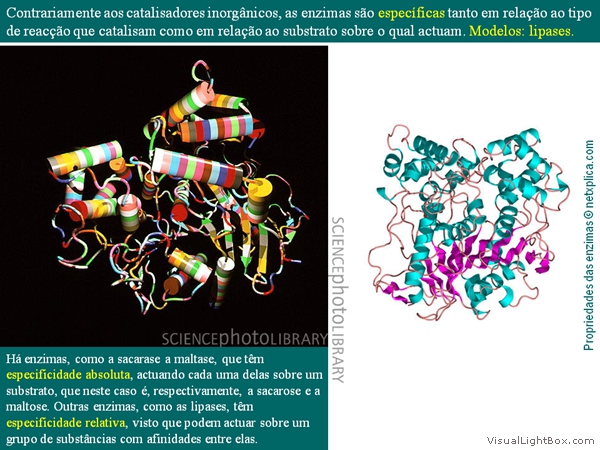 Diapositivo17