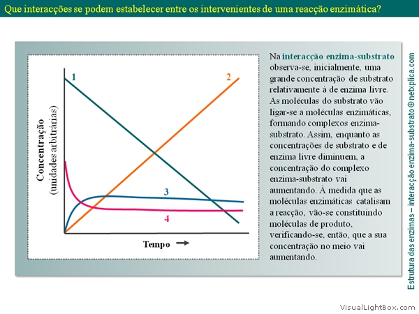 Diapositivo23