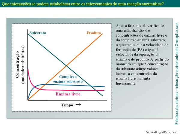 Diapositivo24