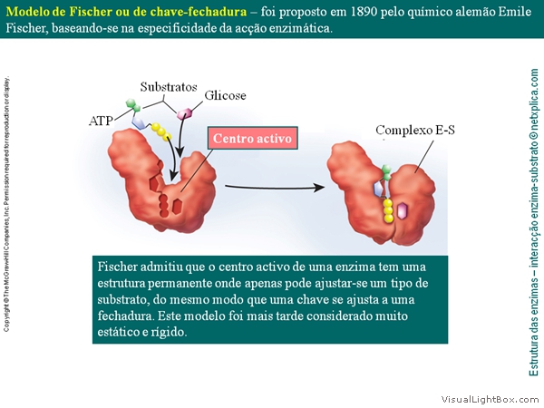 Diapositivo27