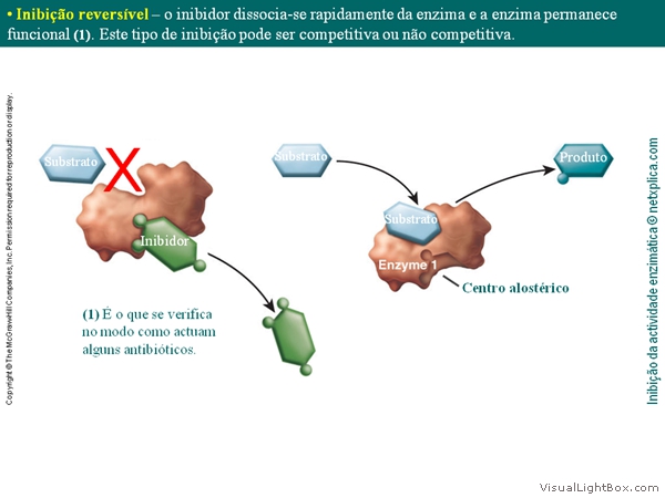 Diapositivo35