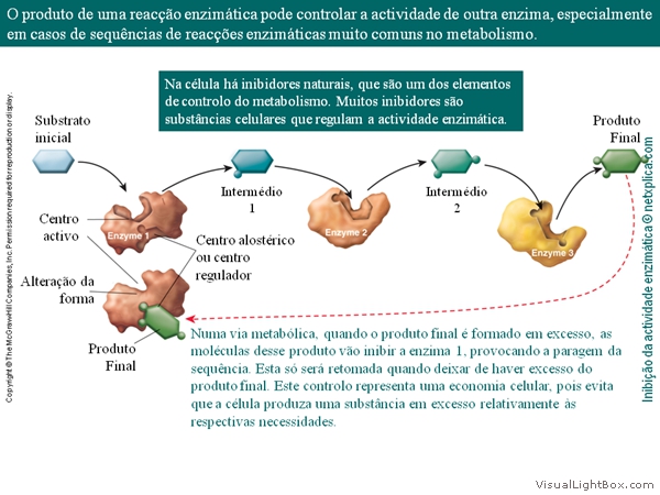 Diapositivo38