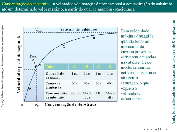 Diapositivo43