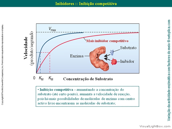 Diapositivo45