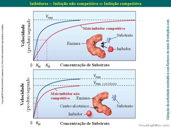Diapositivo47