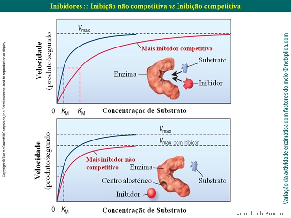 Diapositivo47