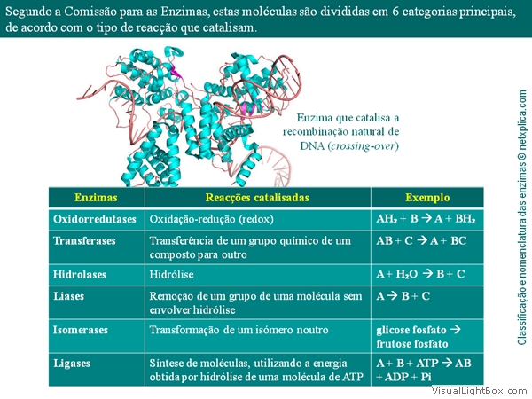 Diapositivo49