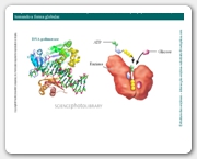 Diapositivo19