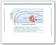 Diapositivo45