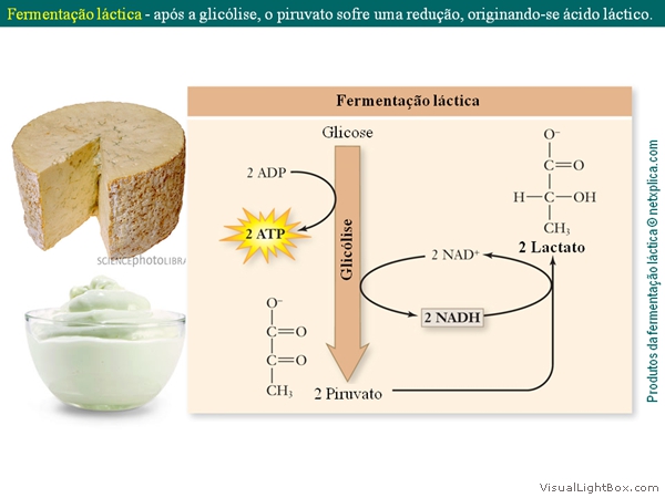 Diapositivo38