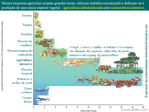 Diapositivo37