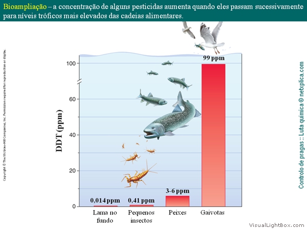 Diapositivo38