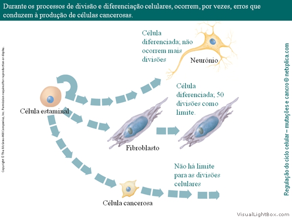 Diapositivo2