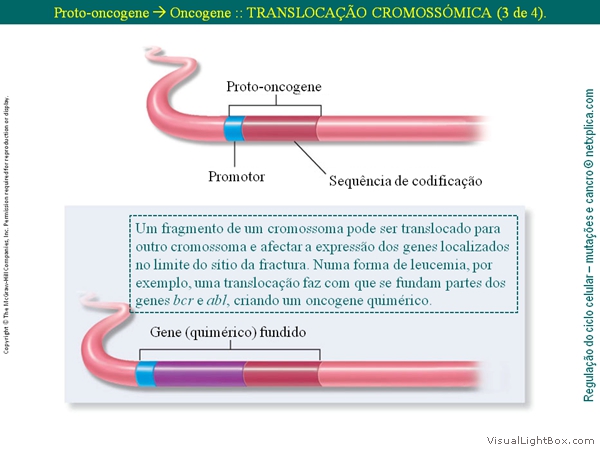 Diapositivo37