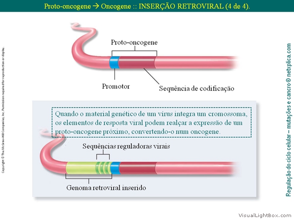 Diapositivo38