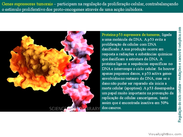 Diapositivo39