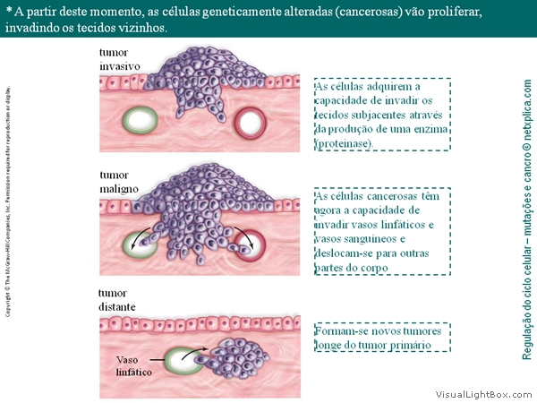 Diapositivo48