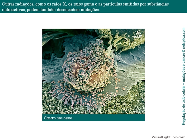 Diapositivo6