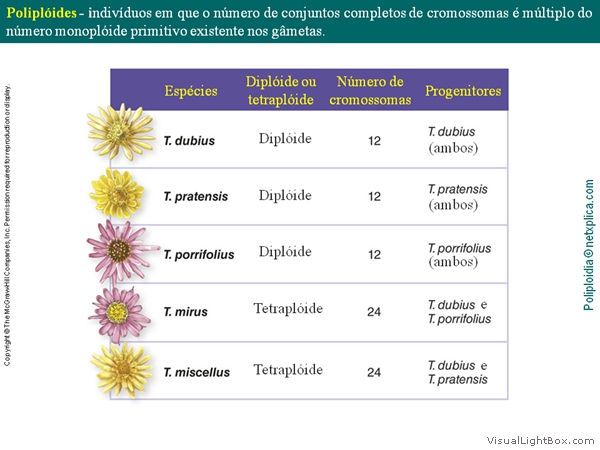 Diapositivo3