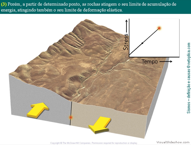 Diapositivo13