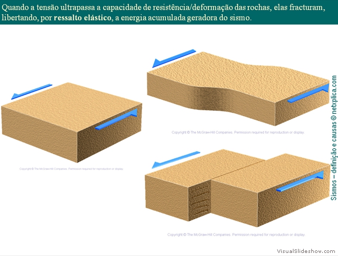 Diapositivo16