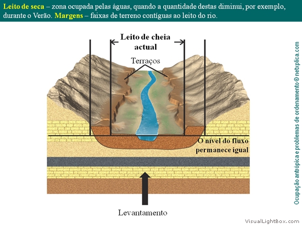 Diapositivo10