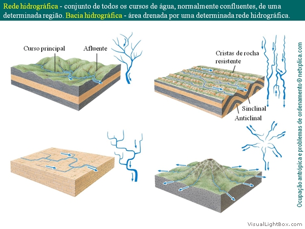 Diapositivo13