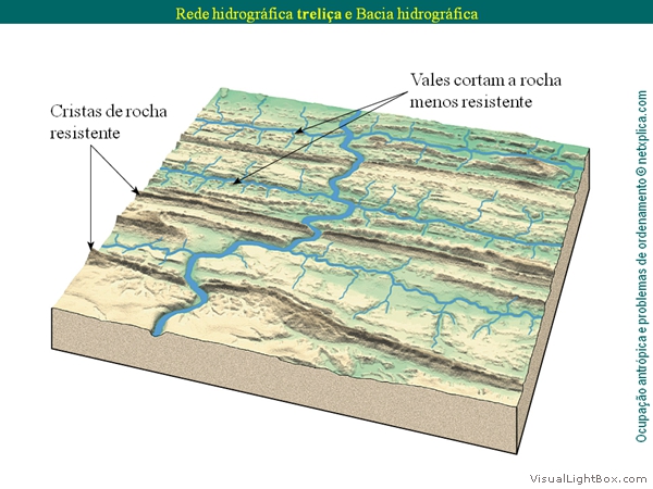 Diapositivo19