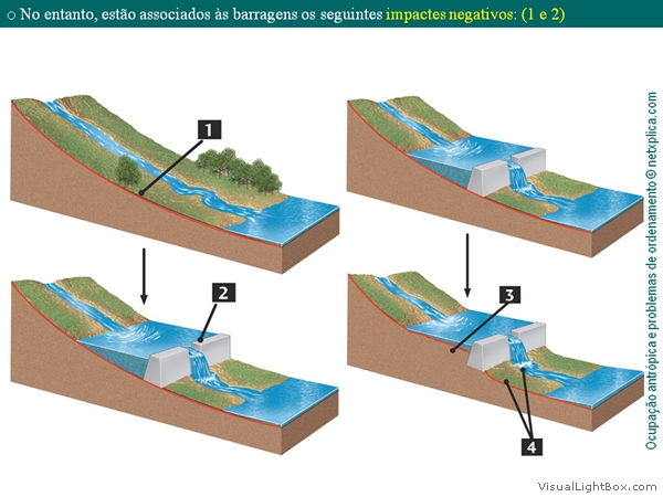 Diapositivo39