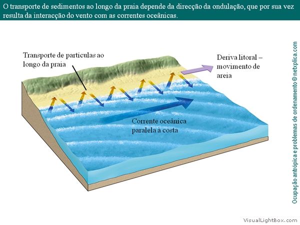 Diapositivo56