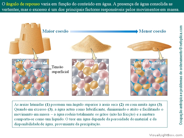 Diapositivo85