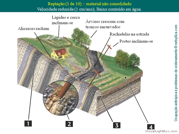 Diapositivo86