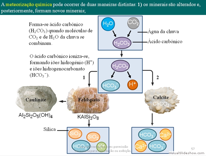 Diapositivo57