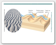 Diapositivo122