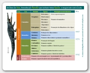 Diapositivo138