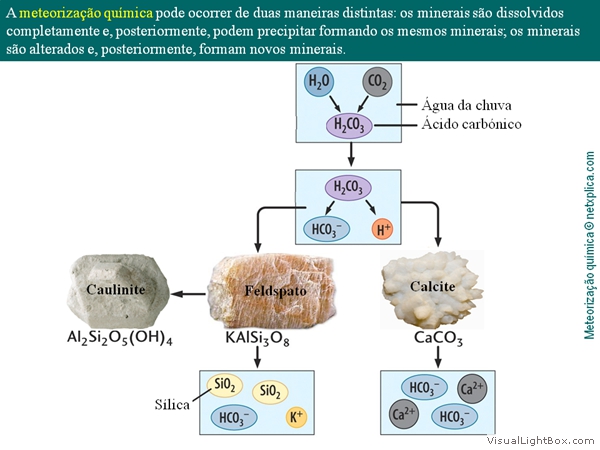 Diapositivo46