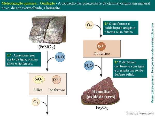 Diapositivo47