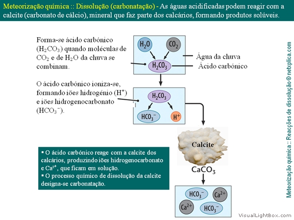 Diapositivo49