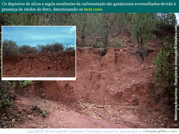 Diapositivo52