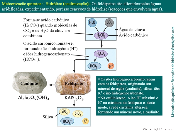 Diapositivo57