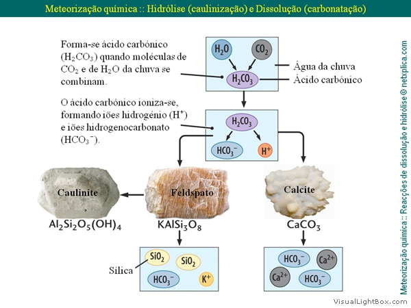 Diapositivo59