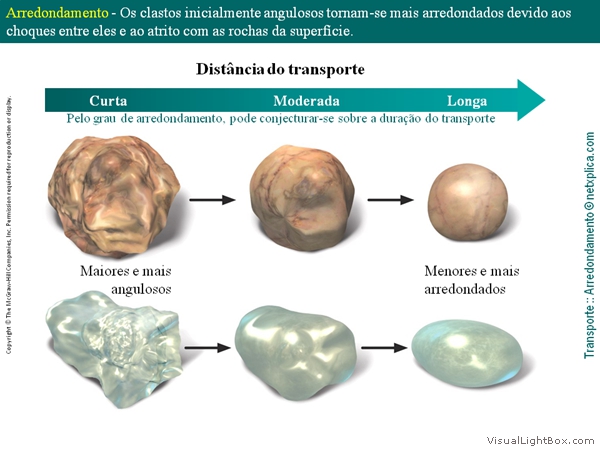 Diapositivo17